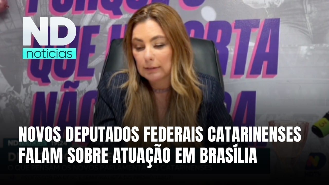 Quem são os novos deputados federais de SC eleitos para representar SC