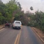 Árvore cai e bloqueia rodovia entre Montes Claros de Goiás e Diorama
