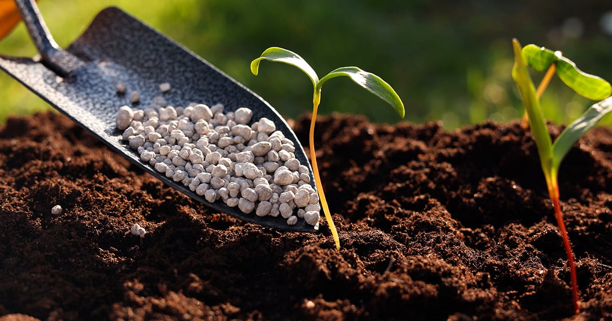 CMN amplia crédito do Plano Brasil Soberano para fertilizantes e reduz juros