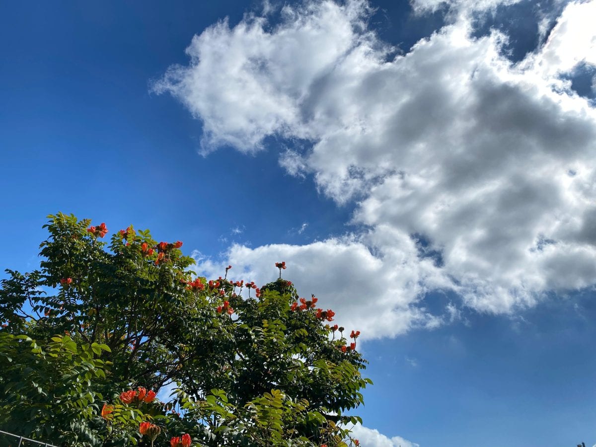Vale terá fim de semana de sol entre nuvens e frio
