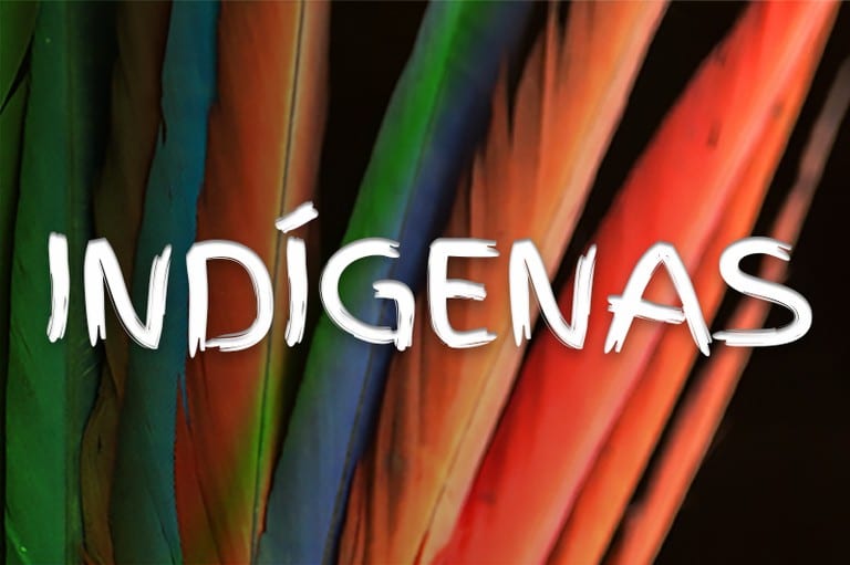 MPF pede correção de 225 CARs que sobrepõem terras indígenas em SC