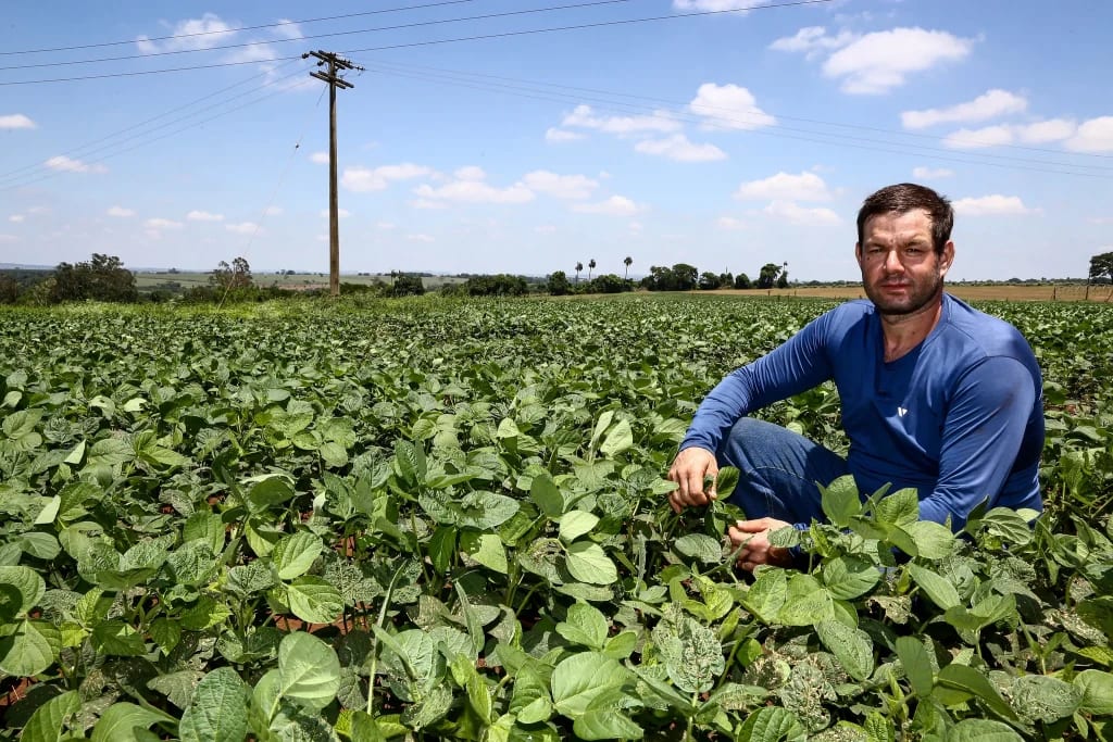 FEAP: linhas de crédito rural em SP para modernizar e tornar a produção mais sustentável