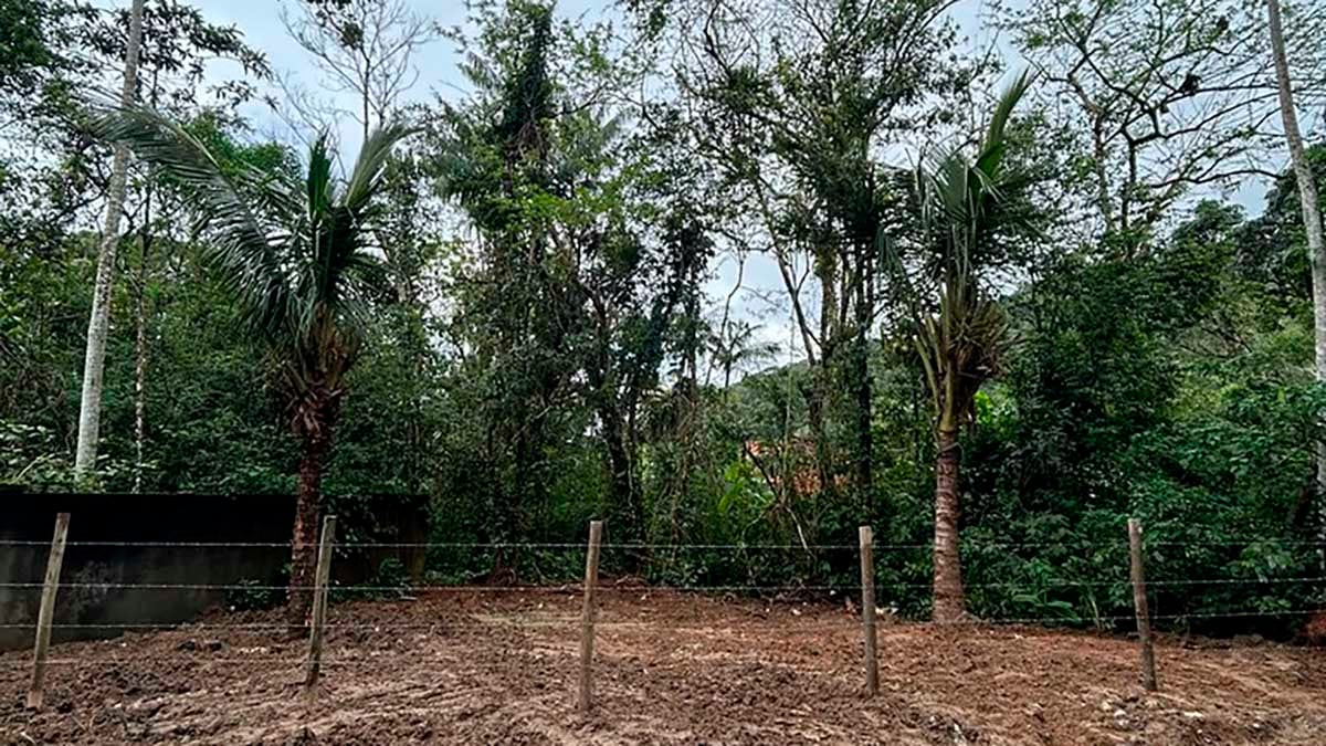 Caraguatatuba recupera área degradada por descarte irregular e transforma espaço no Massaguaçu