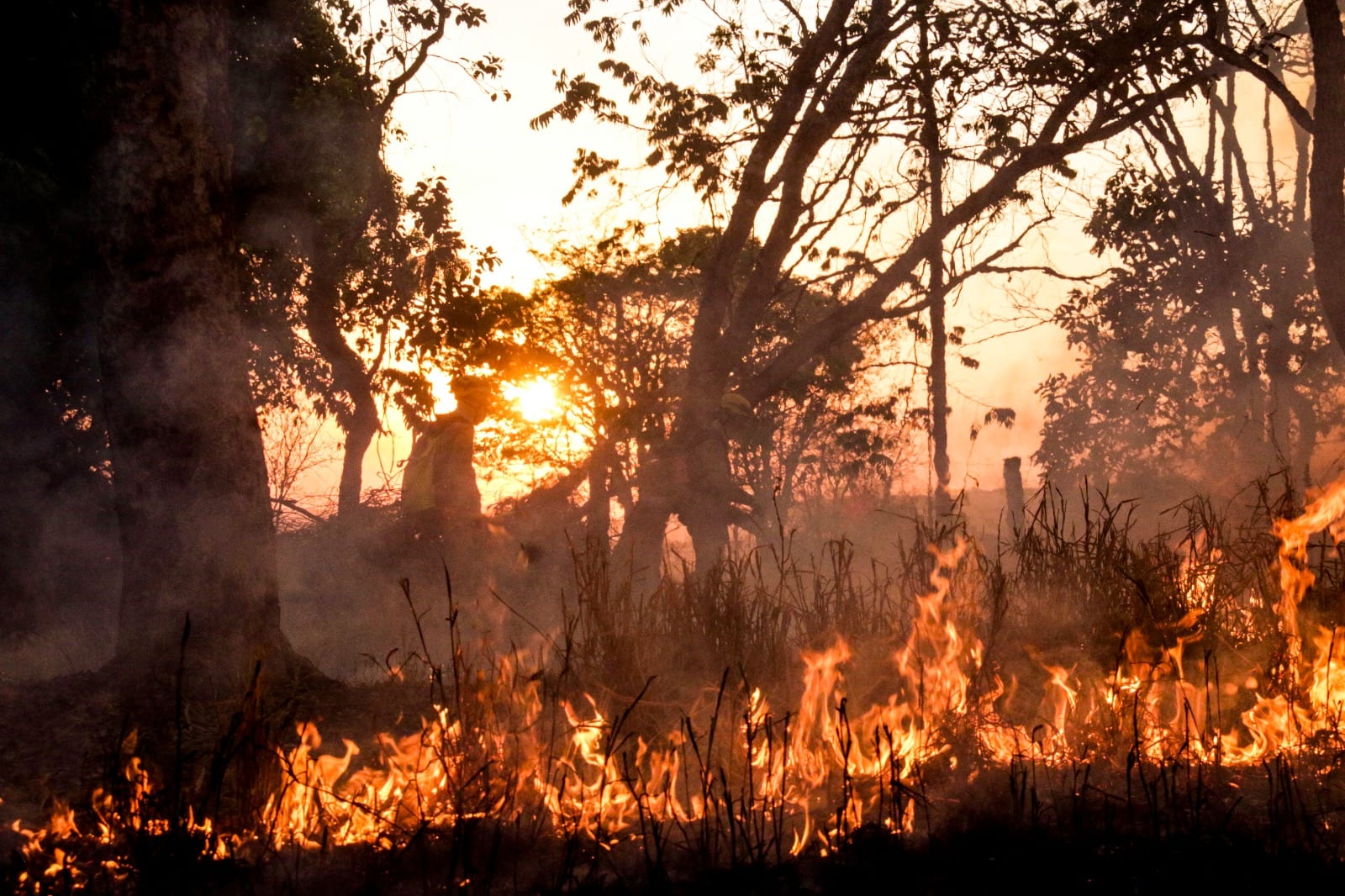 Goiás proíbe uso do fogo em vegetação até 31 de outubro de 2026