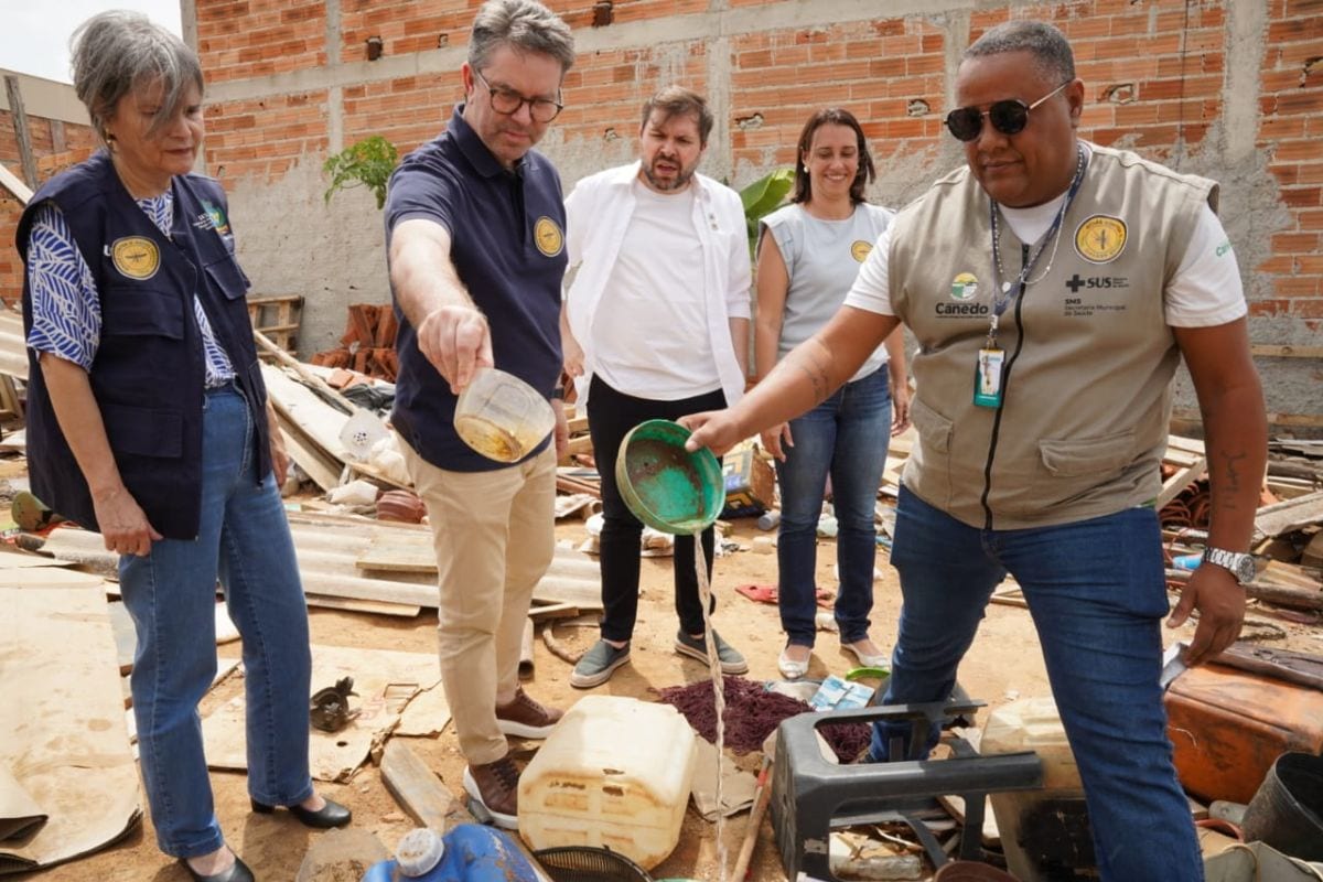 Casos de dengue em Goiás aumentam 17% e Secretaria da Saúde reforça combate ao mosquito