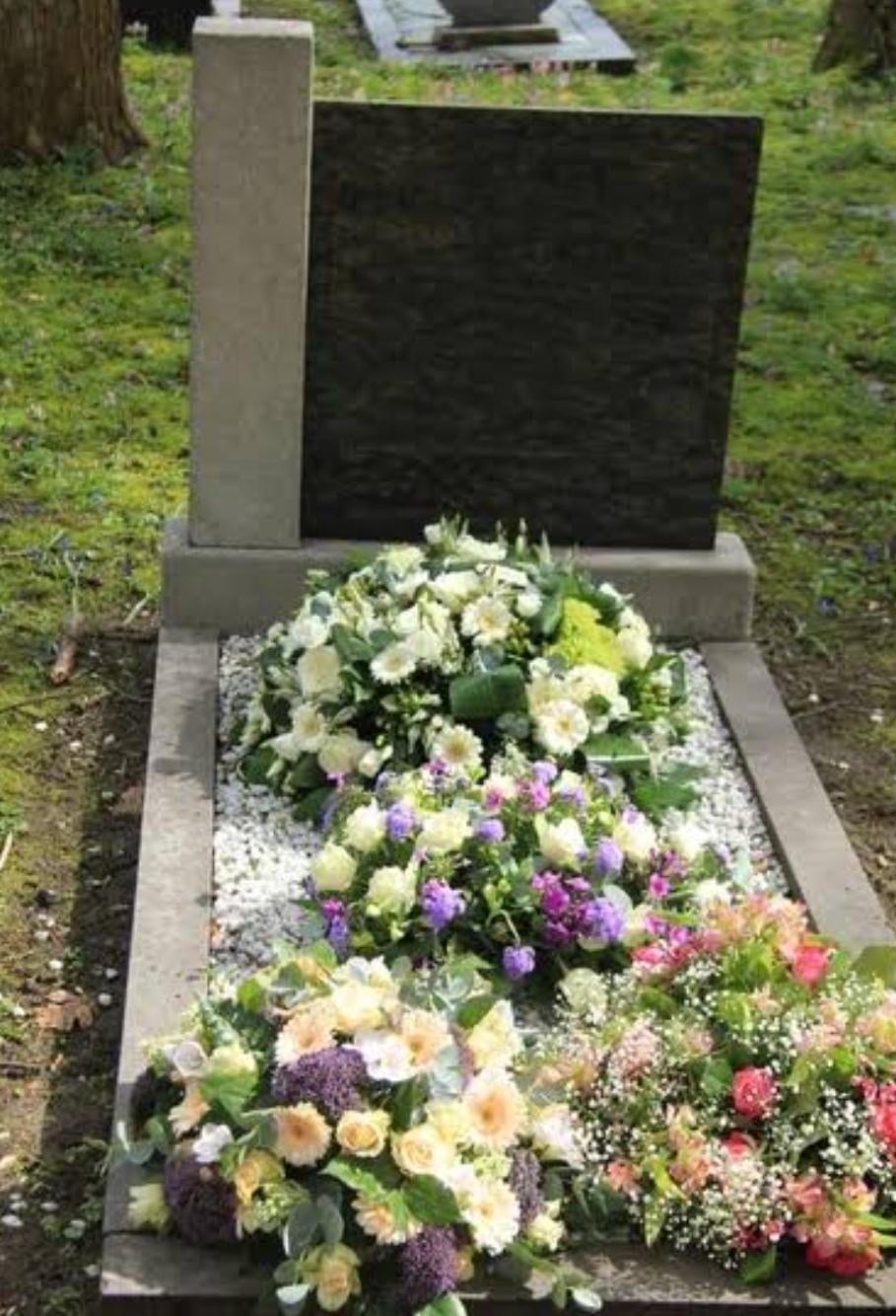 Coluna de Isaac Carmo – Flores em Vida