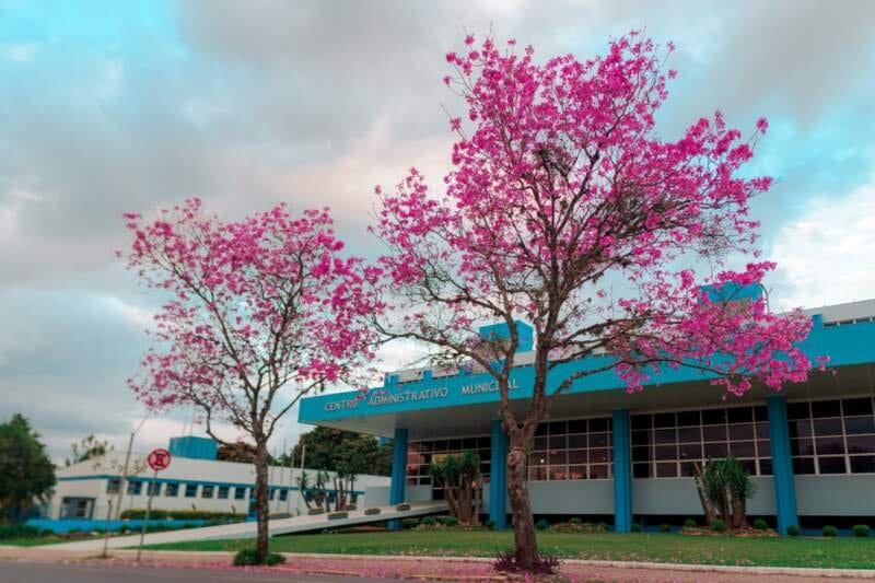 Inscrições para estágio remunerado na prefeitura seguem até esta sexta-feira (4)