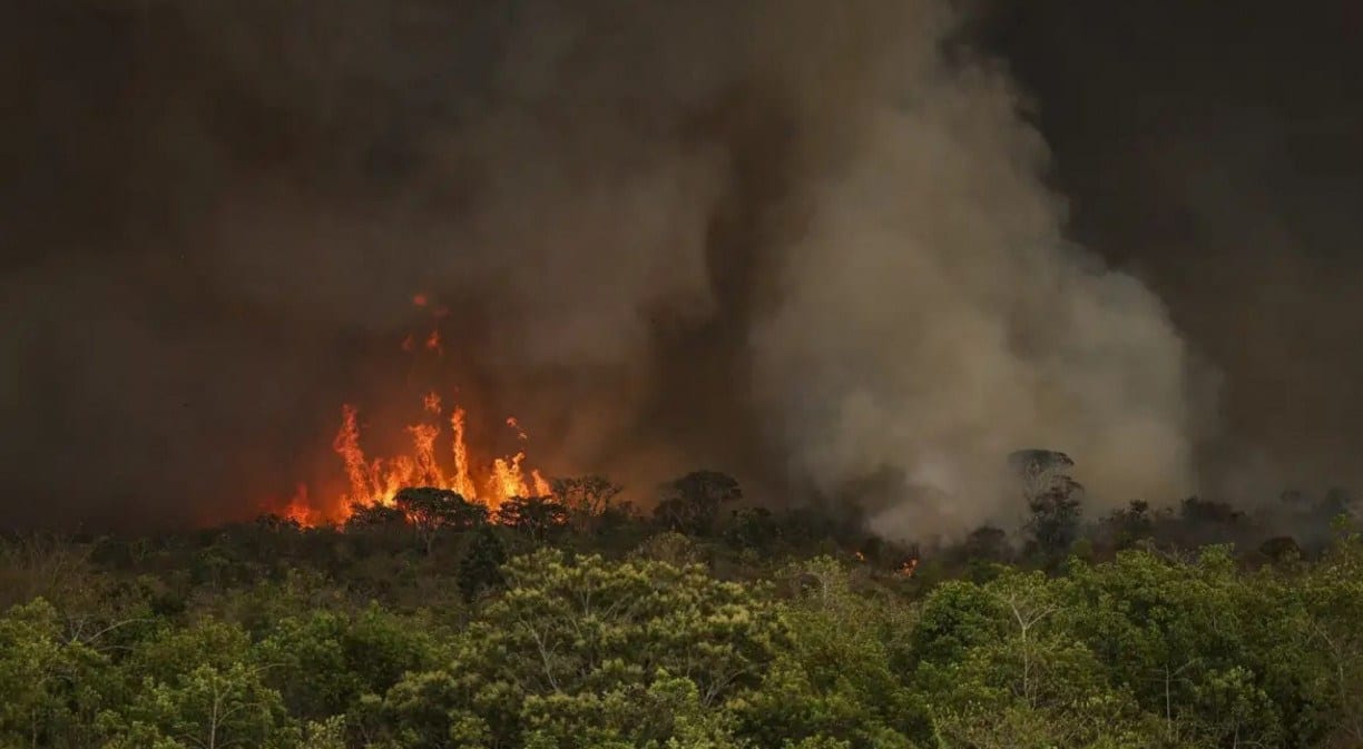 Incêndios no Amazonas resultam de ação humana intencional, diz ministro