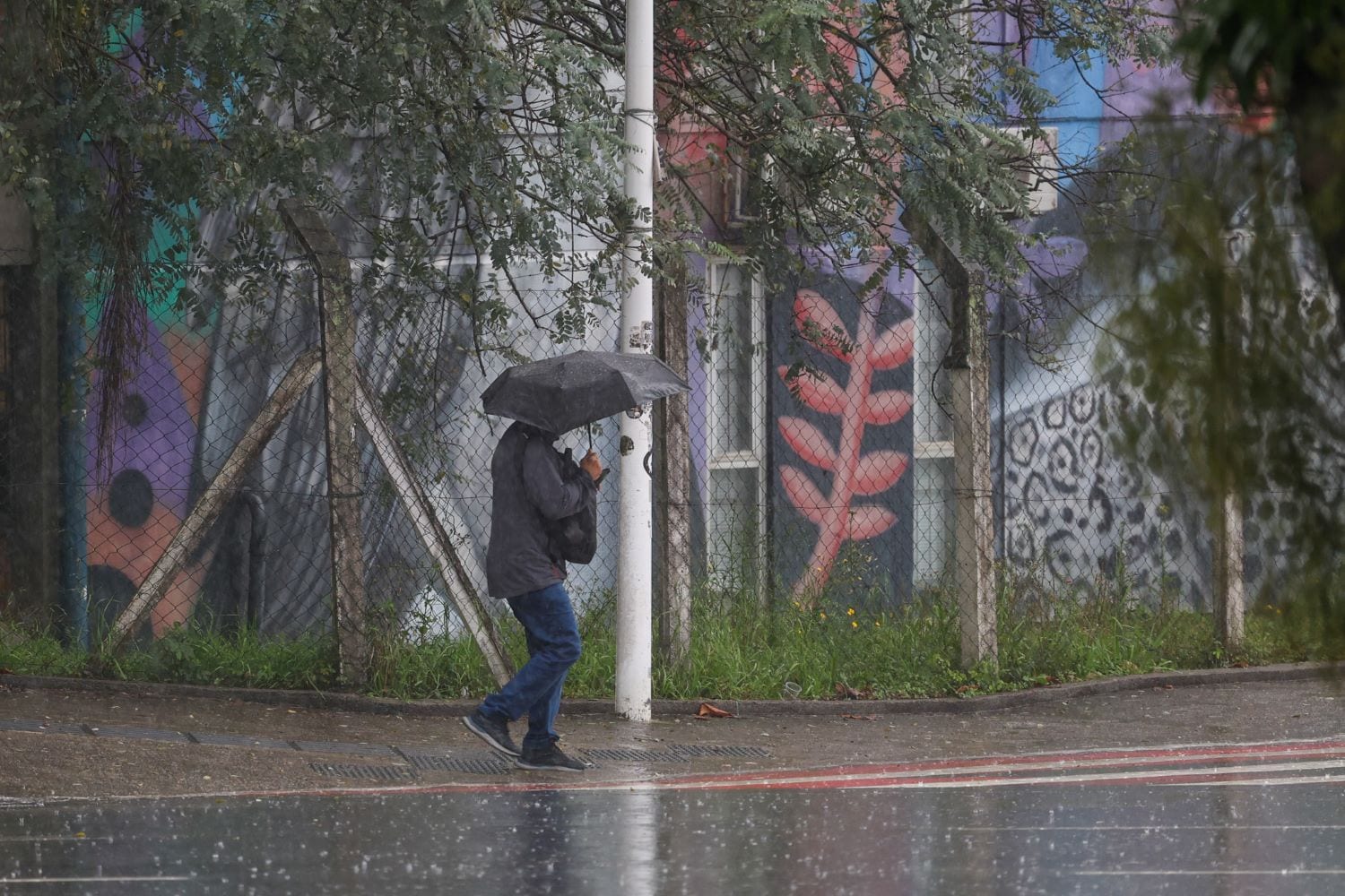 Fim de semana começa com chuva intensa e volumosa em Santa Catarina