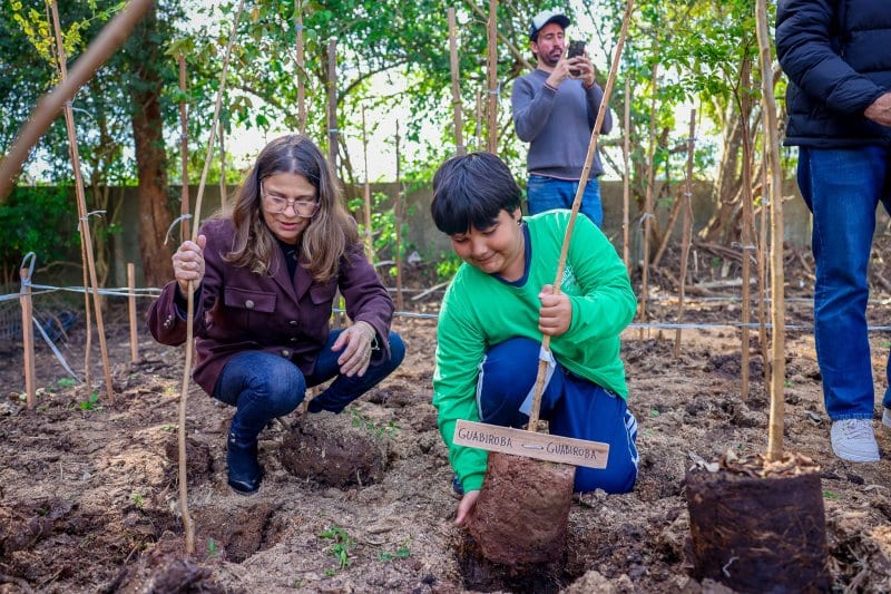 MEIO AMBIENTE. Lions Clube Santa Maria Camobi implanta a primeira microfloresta do Município