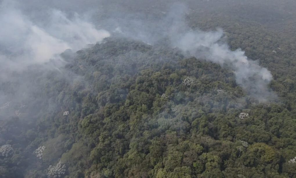 SP Sem Fogo: Estado registra menor número de focos de calor para setembro desde 1998