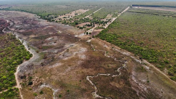 Operação aplica R$ 298 mil em multas por desmatamento de 164 hectares em Goiás