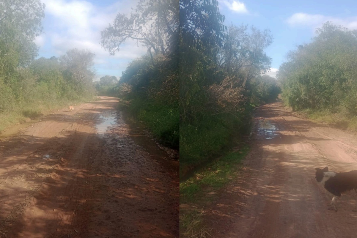 Câmara de Cachoeira do Sul pede melhorias na Estrada da Pedreira