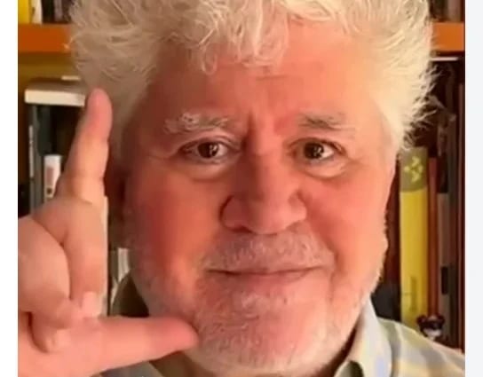 Mark Ruffalo, Tilda Swinton e outras estrelas internacionais declaram apoio a Lula em vídeo