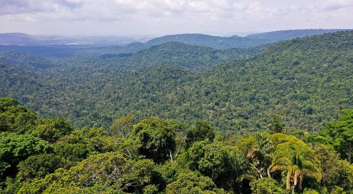 Desmatamento em áreas protegidas da Amazônia e do Cerrado tem queda