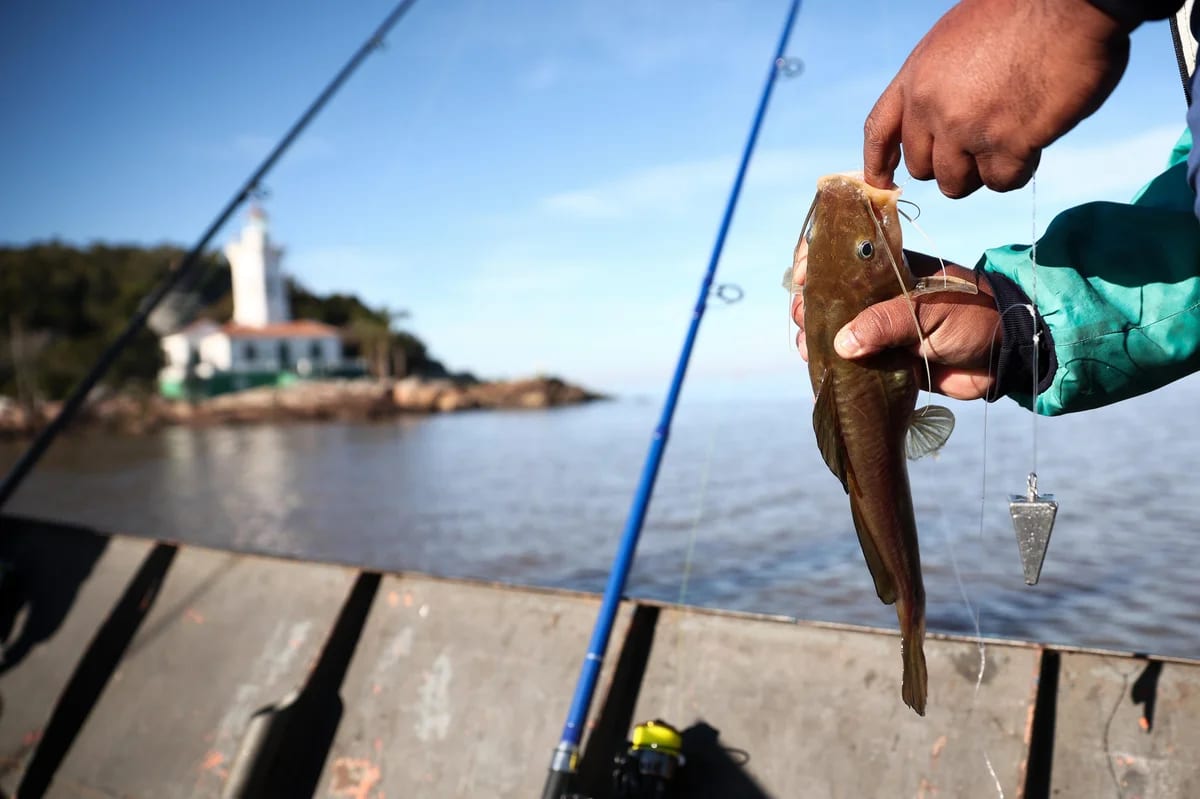 Quem monitora a pesca em alto-mar? Curso forma profissionais para atuar como observadores de bordo no sul do RS