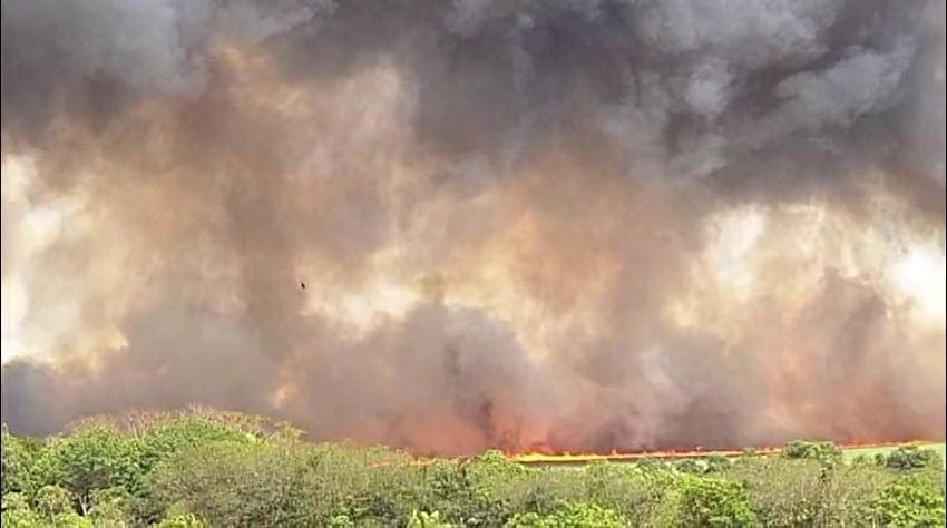 Entenda o quadro-trinta, a combinação que eleva o risco de incêndio no campo
