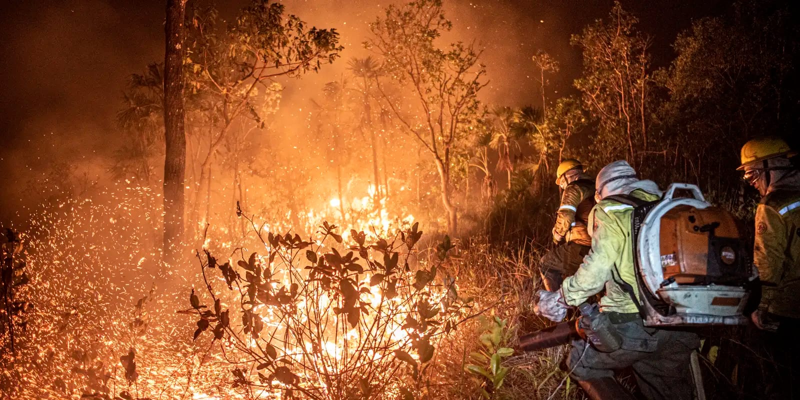 Ibama extingue 229 incêndios no Amazonas e segue no combate ao fogo