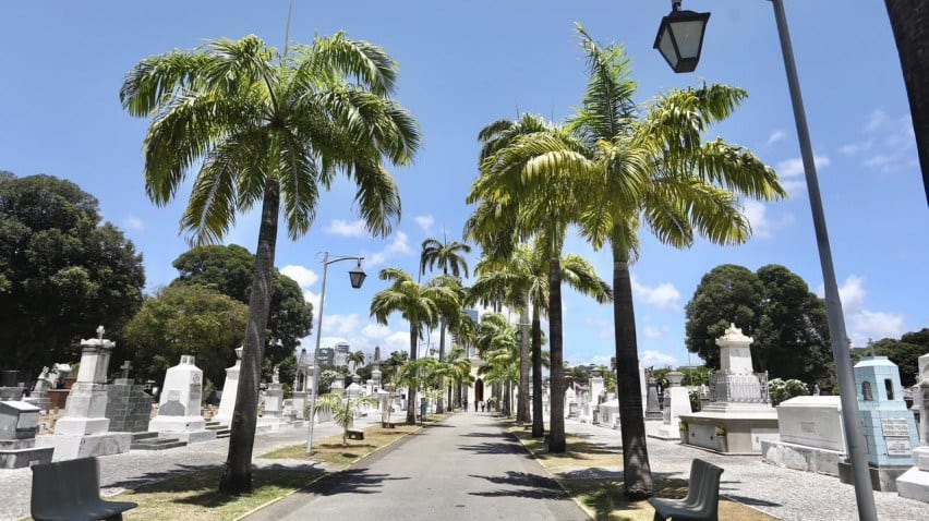 Cemitérios do Recife recebem melhorias para o Dia de Finados; veja horários das missas