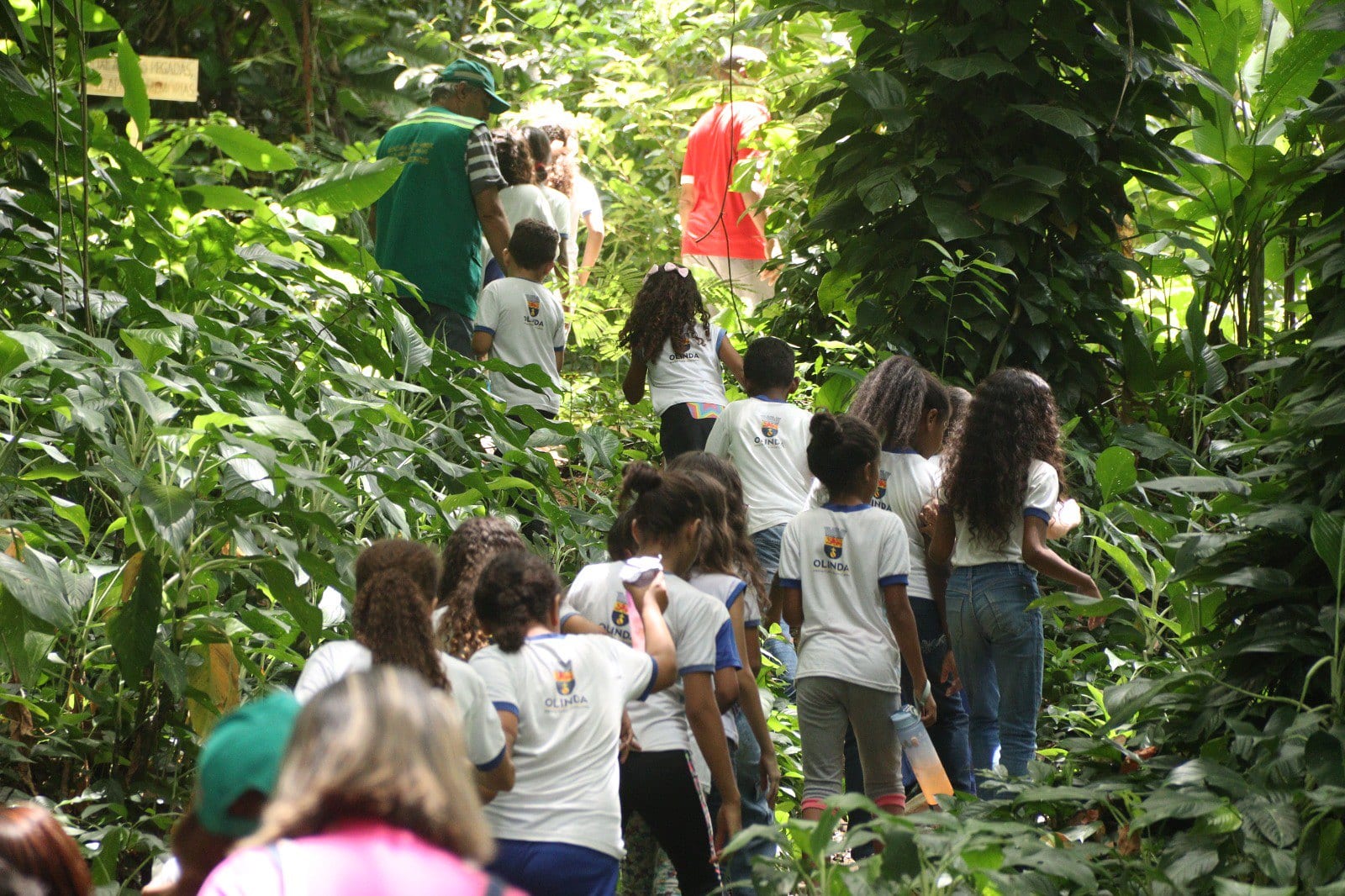 Dia das Crianças de Olinda terá atividades gratuitas na Mata do Passarinho nesta quarta (14)