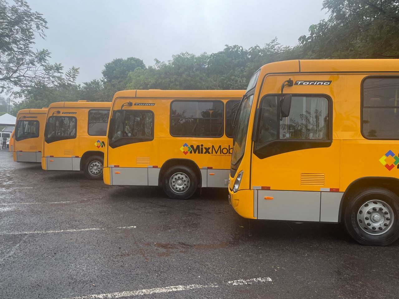 Coligação aciona TRE-RS sobre suposta falta de ônibus em Novo Hamburgo