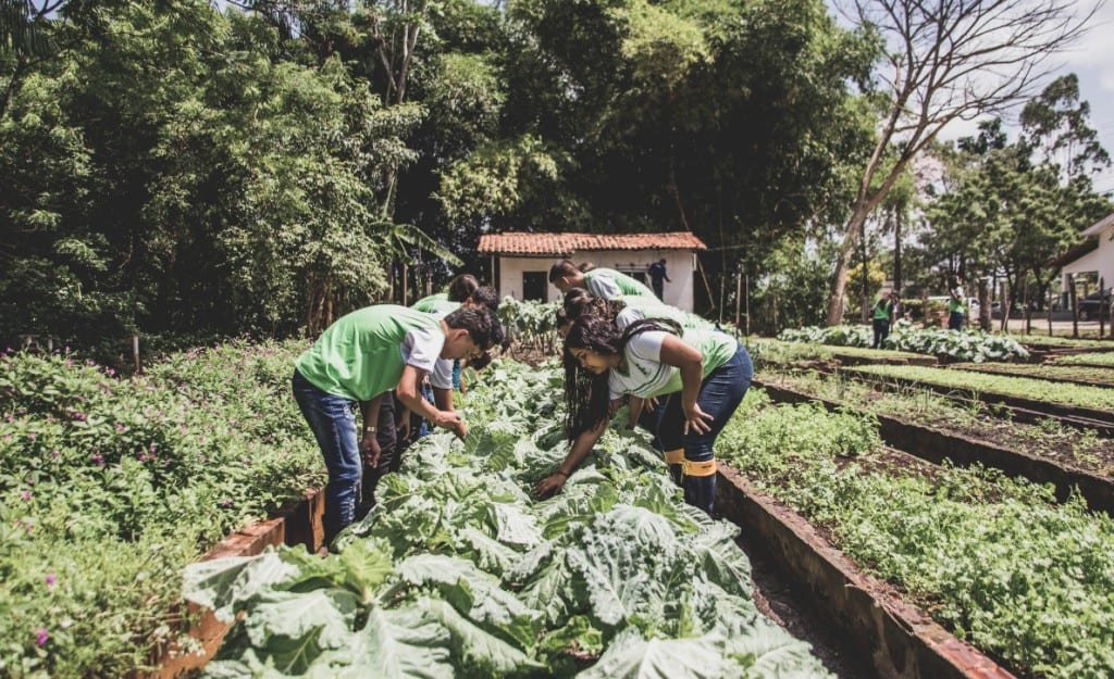 Nova resolução aprimora compra de alimentos da agricultura familiar para a alimentação escolar