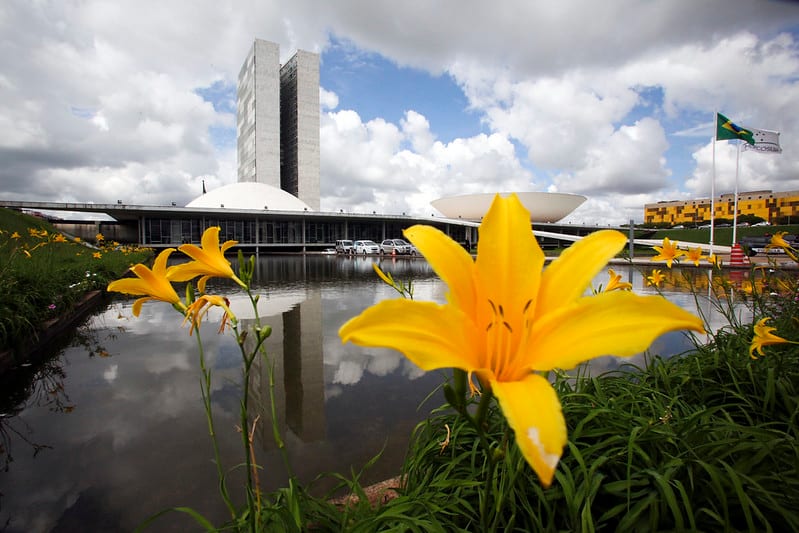 Iniciativa política voltada à agenda socioambiental registra expansão