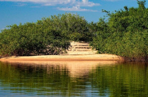 Estado terá R$ 88 milhões para impulsionar política ambiental em 2027