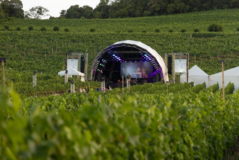 Em Bento Gonçalves | Shows, enogastronomia e experiências autênticas compõem a programação do 5º Natal nos Vinhedos