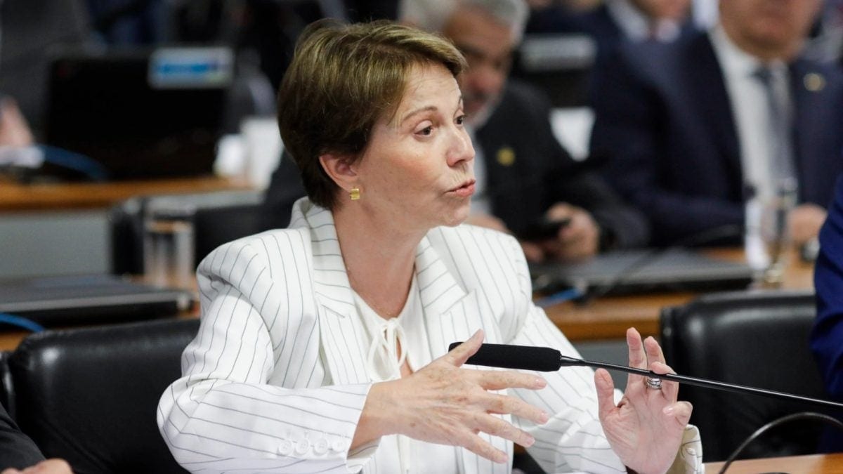 Tereza Cristina diz, em 16.set.2026, que STF está “na iminência de uma implosão”