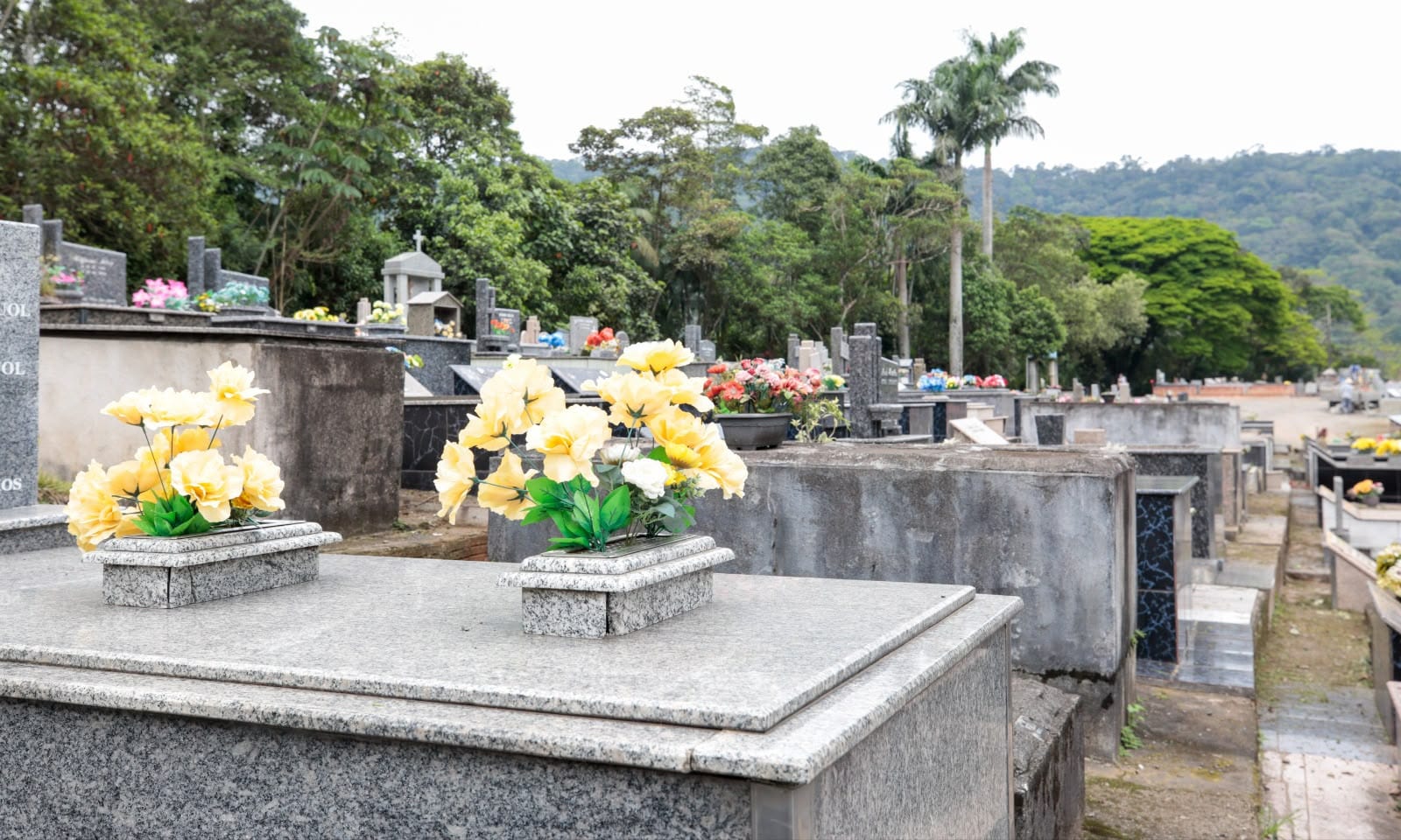 Prefeitura prorroga prazo para limpeza manual de sepulturas em preparação para o Dia de Finados em cemitérios