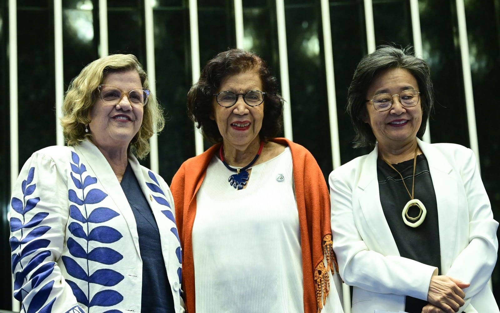 Elas reagem: Marília, Teresa e Jandira batem em Flávio; Bia Kicis fica com Marinho