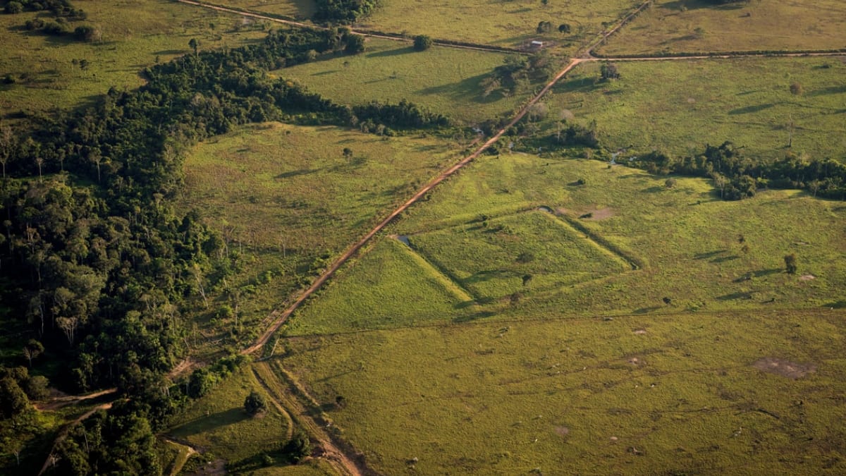 Centenas de estruturas escondidas na Amazônia revelam uma civilização muito maior do que se imaginava