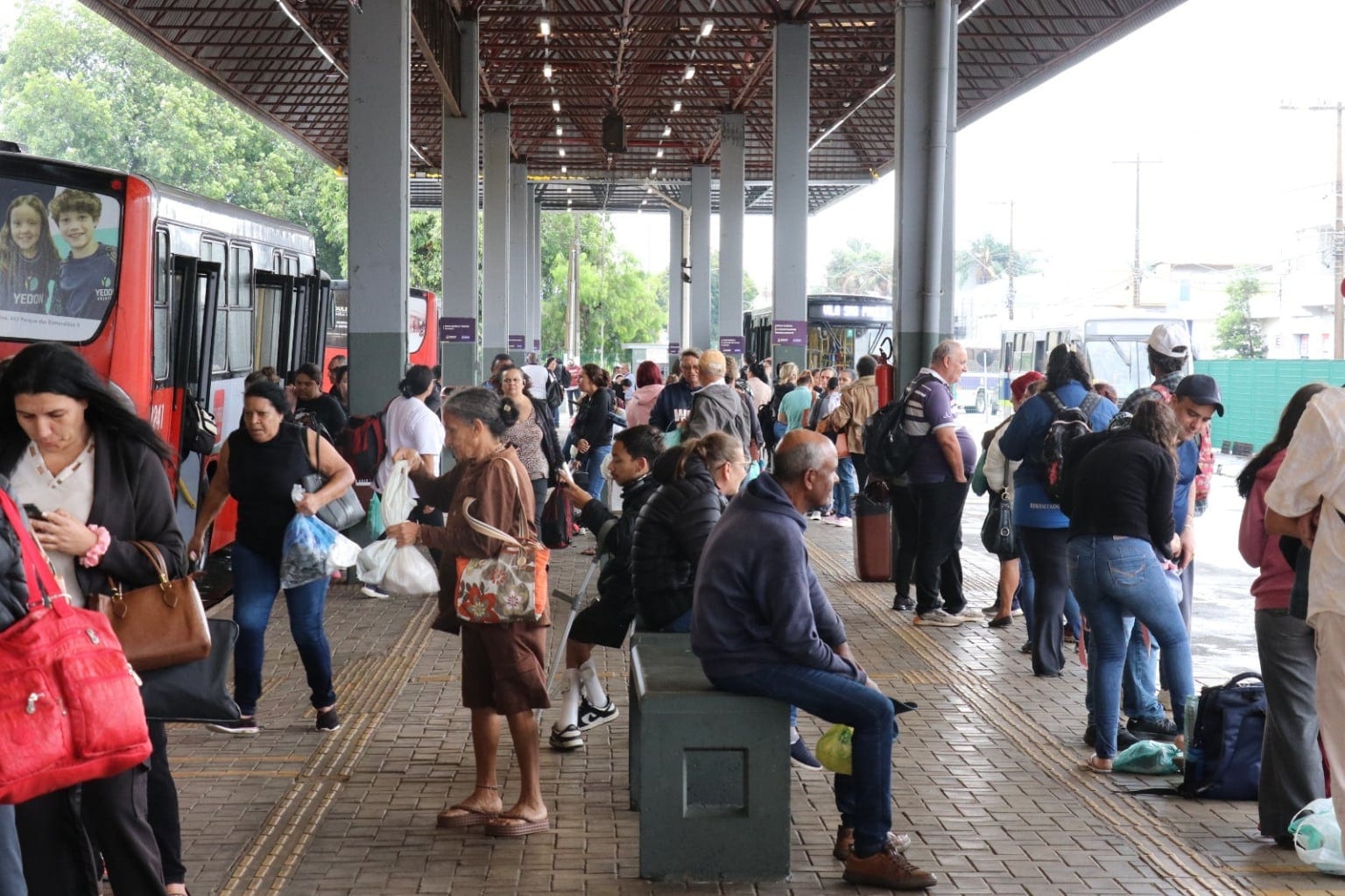 Marília terá transporte coletivo gratuito neste domingo para votação