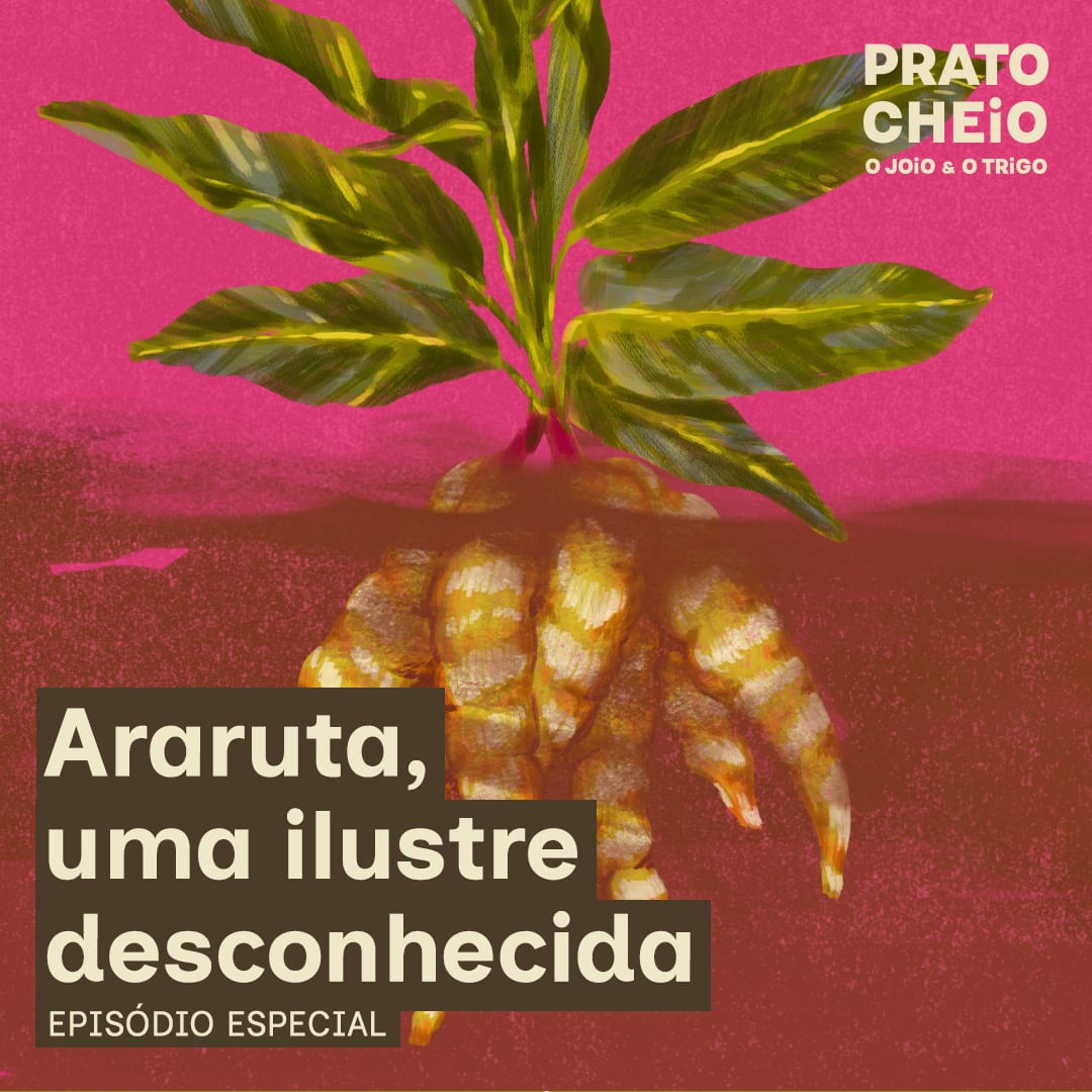 Araruta, uma ilustre desconhecida