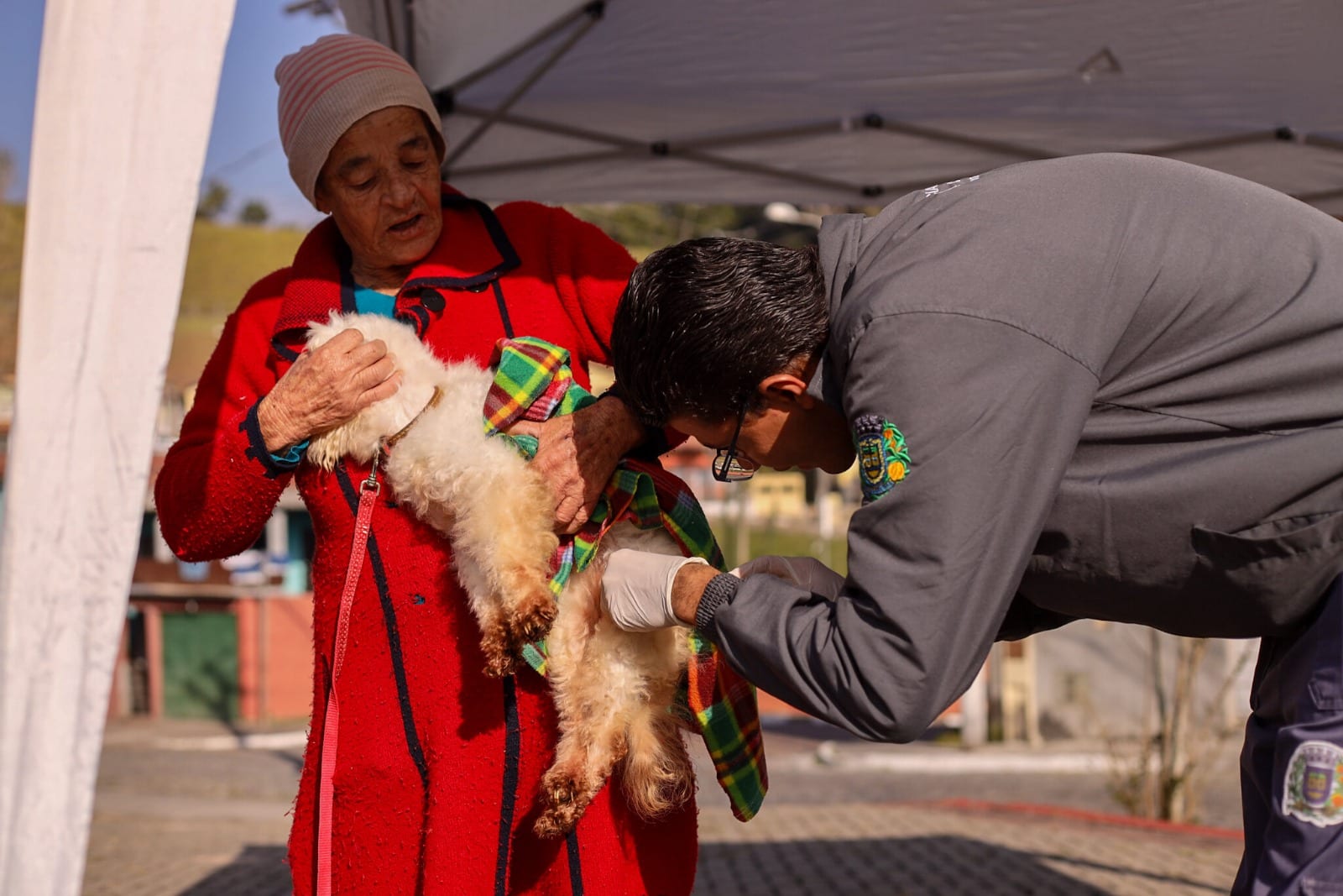 Prefeitura realiza vacinação antirrábica em quatro bairros em outubro