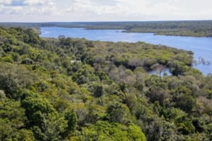 Imposto Seletivo sobre petróleo penaliza fase exploratória e pode afastar investimentos