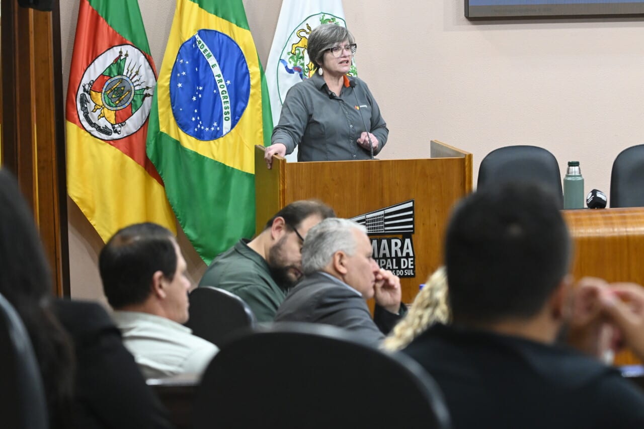 Silvana defende servidores na Câmara