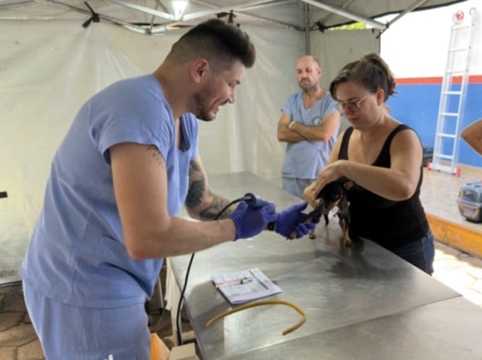 Cidade: Prefeitura abre licitação para serviços veterinários