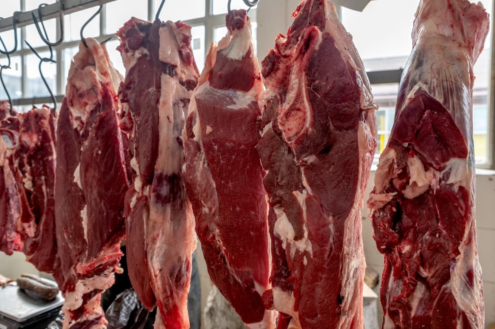 Goiás tem prejuízo de US$ 16,8 milhões por mês com suspensão de importações pela União Europeia