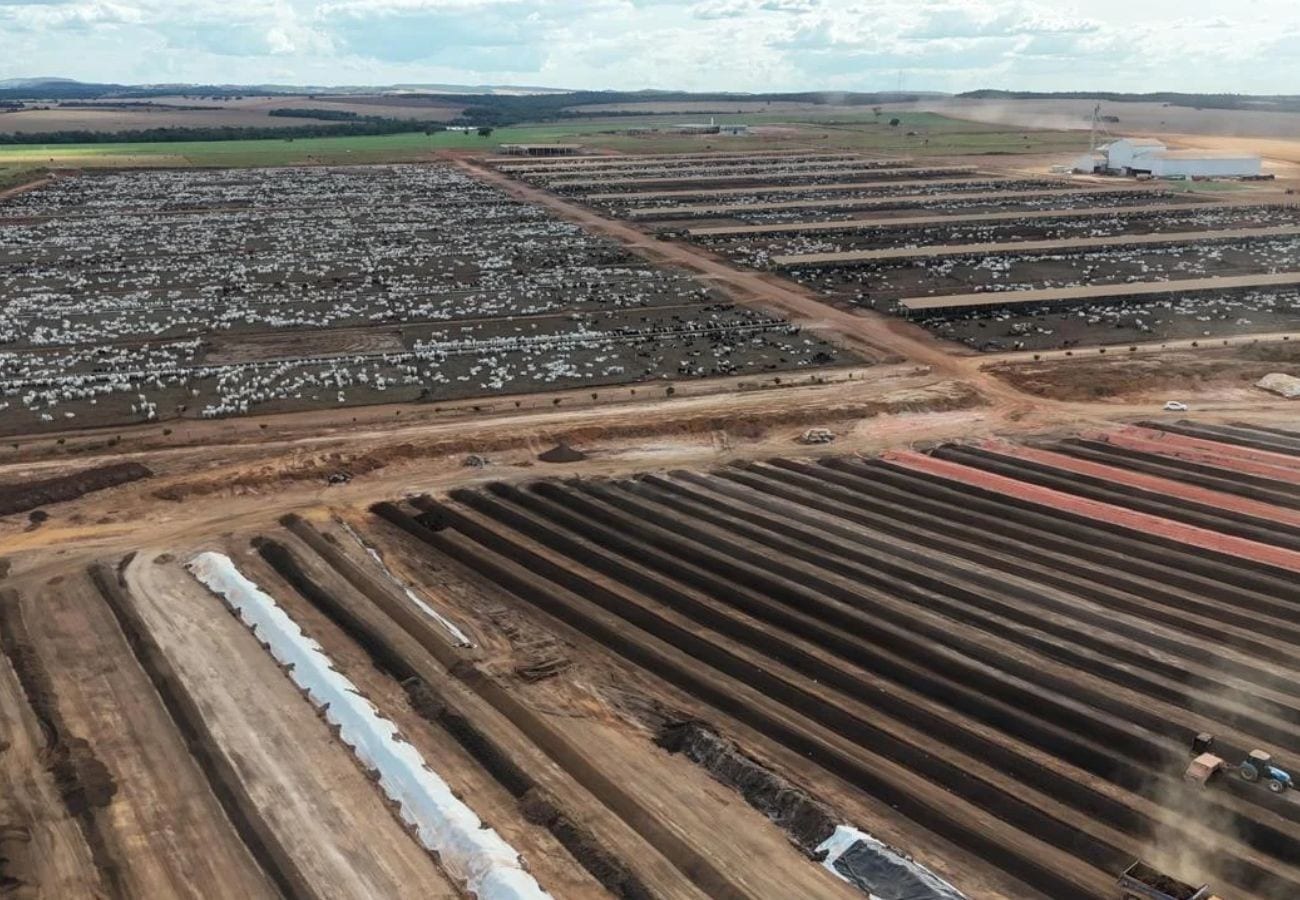 Tocantins soma mais de R$ 13 bilhões em exportações em 2026; soja e carne lideram