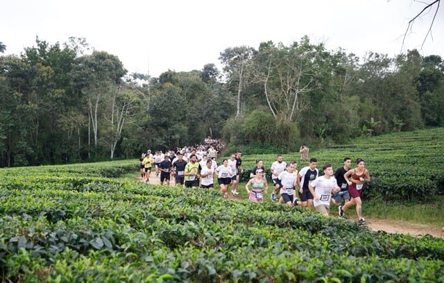 Ridere Run – Desafio Amaya Chás reúne cerca de 500 atletas em experiência única entre chazais e Mata Atlântica
