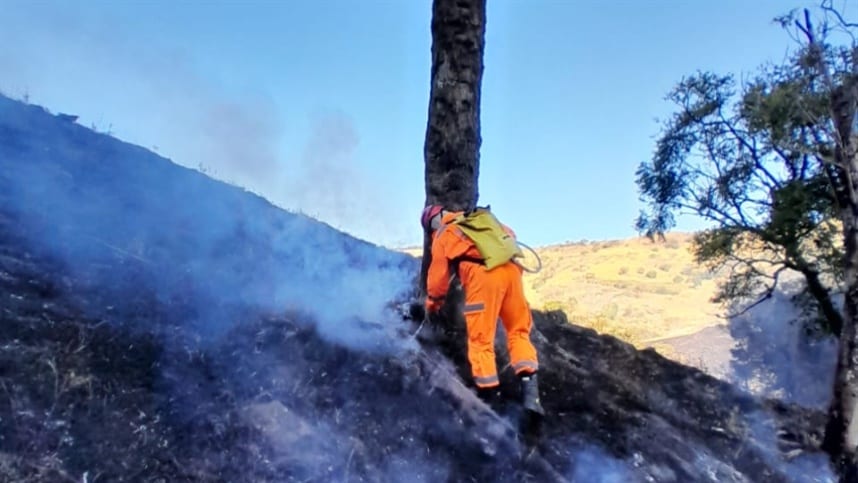 Setor florestal e Corpo de Bombeiros fecham acordo técnico para prevenir incêndios em Minas