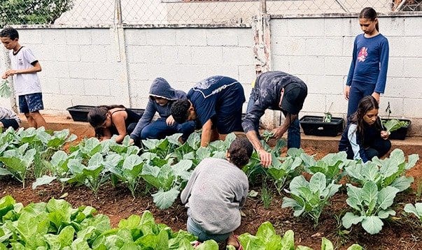 Prefeitura de Birigui amplia educação ambiental com projeto Hortas nas Escolas