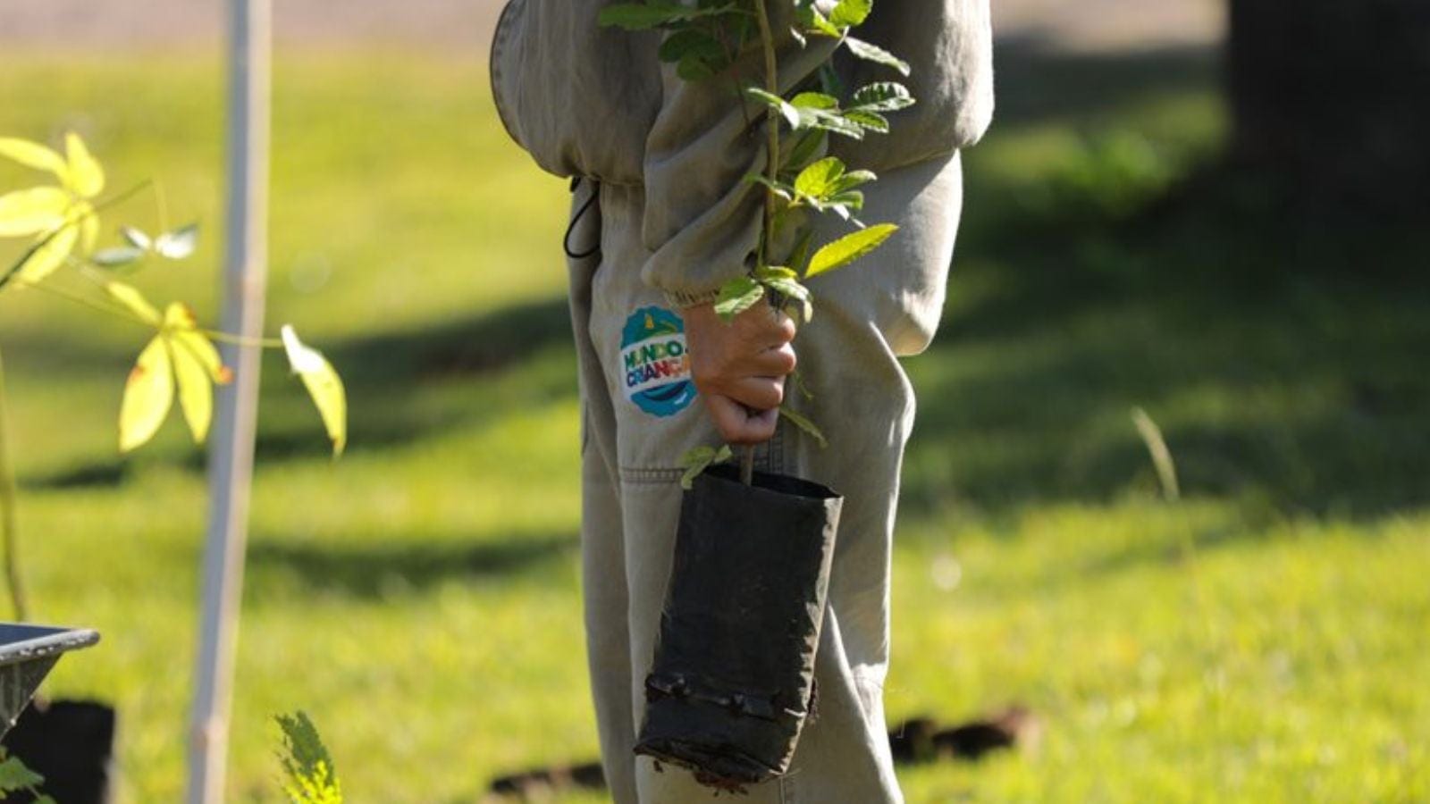 DAE recupera 26,19 hectares de áreas verdes em Jundiaí