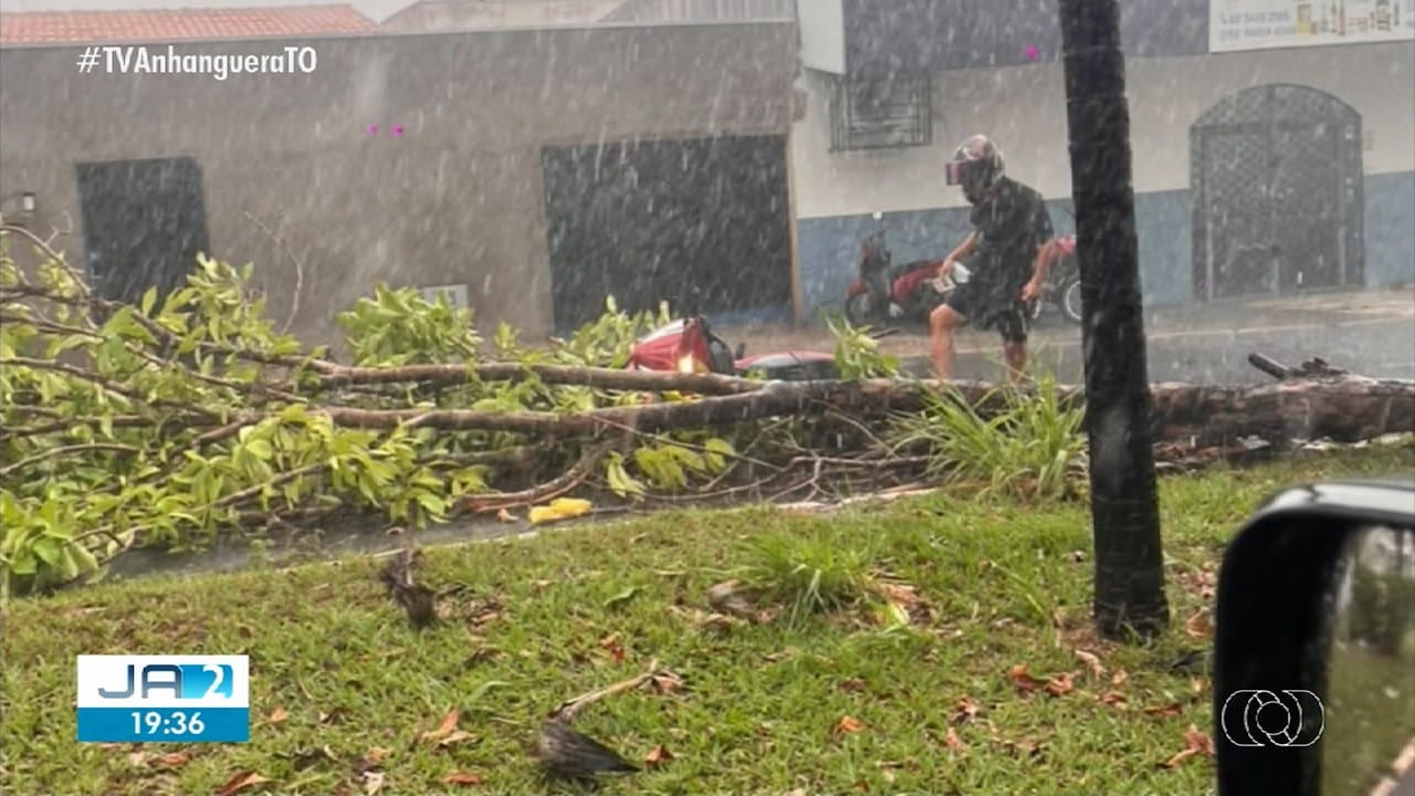 Chuva com ventos fortes derruba árvores e provoca estragos em Araguaína;