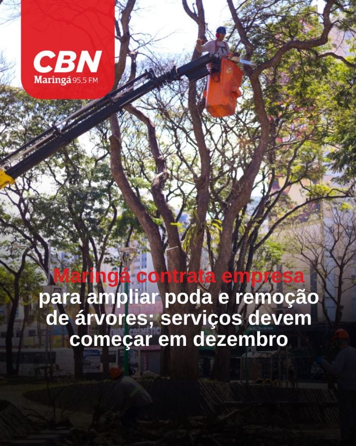 A Prefeitura de Maringá apresentou nesta quinta-feira (29) a contratação de uma empresa para fazer serviços de poda e re