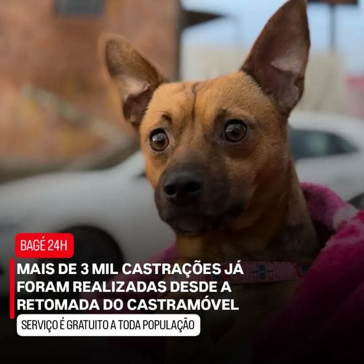 A Coordenadoria de Bem-Estar Animal (Cbea), ultrapassou a marca de 3 mil castrações de cães e gatos realizadas pelo Cast