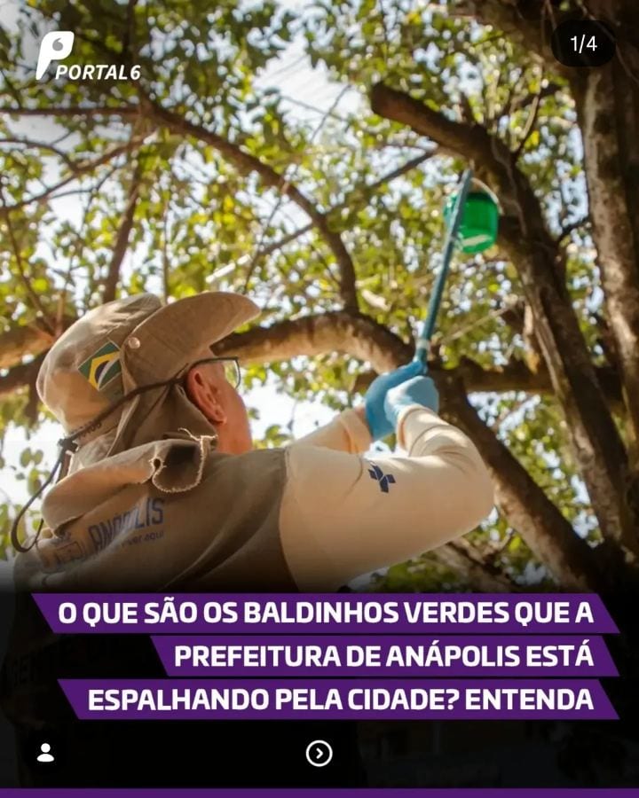 NOVA MEDIDA | Quem circula pelas ruas de Anápolis pode ter percebido pequenos baldinhos verdes presos a árvores, próximo