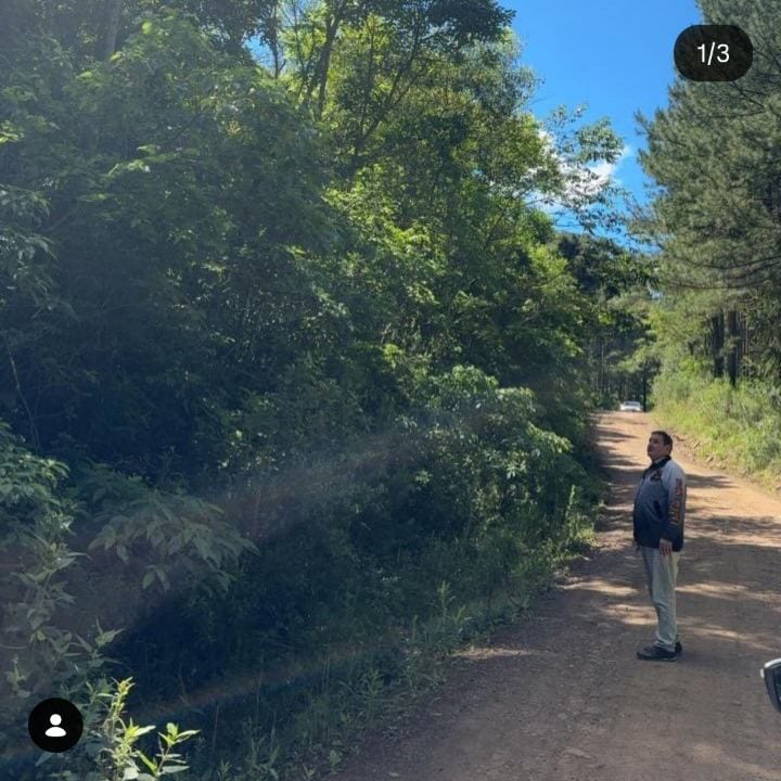 Nene Abreu solicita poda de árvores próximas à rede elétrica na Estrada dos Benetis, em Chapadão